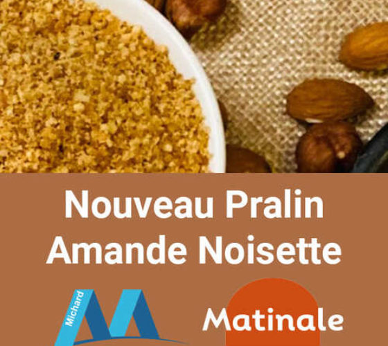 Praline-amandes-noisettes-michard-500x500px